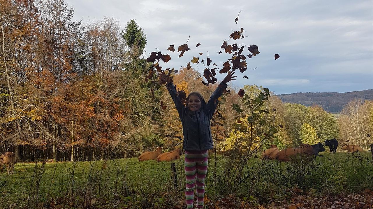 Herbstlaub Herbstlaub